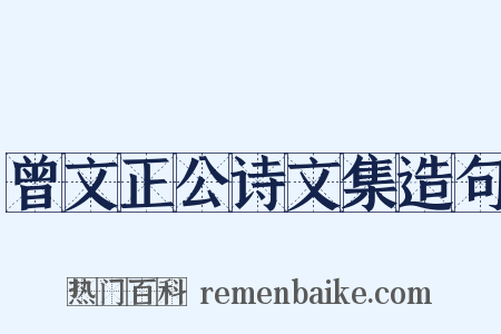 曾文正公诗文集造句是什么意思的图片